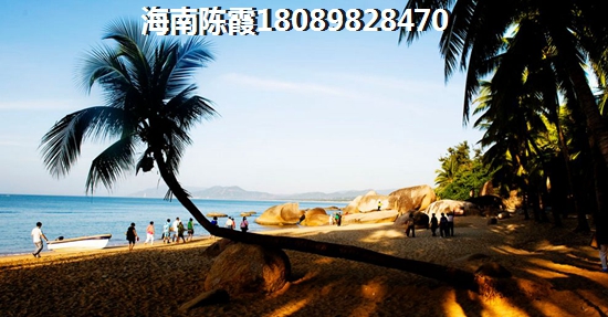融信海亮乐澜公园学府瞰景高层 南北通透 明厨明卫 三居 119㎡㎡ 户型图